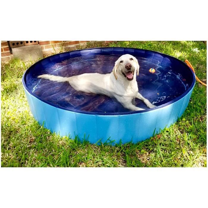 FIT+FUN Piscine pour chats Fit + Fun avec jouets d’eau en forme d’étoile