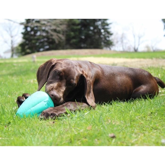 VINGVO jouets grinçants pour chiens en latex Latex canard chien jouets