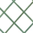 Treillis pour plantes grimpantes - TRADE SHOP TRAESIO - RESEAU EXTENSIBLE EN BOIS VERT 180x30cm-2
