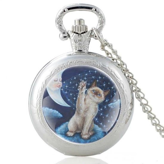 Montre De Poche Musicale à Quartz - Mélodie Joyeux Anniversaire - Argent/or/or Rose, Chaîne 30 Cm - Cadeau - 6