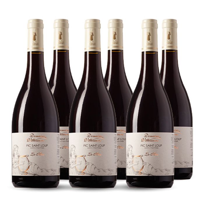 Domaine de Villeneuve La Muse Pic Saint Loup Rouge 2020 6x75cl