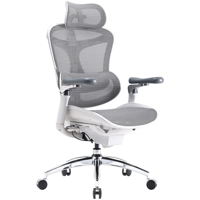 SIHOOC300Pro Chaise de Bureau Ergonomique Avec AccoudoirsSupport Lombaire DynamiqueProfondeur Dassise et Dossier Réglables Blanc