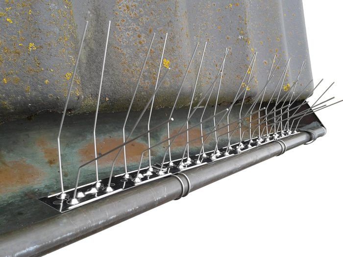 Petits Ciseaux À Tête Ronde En Acier Inoxydable Blanc Et Rose, Petits