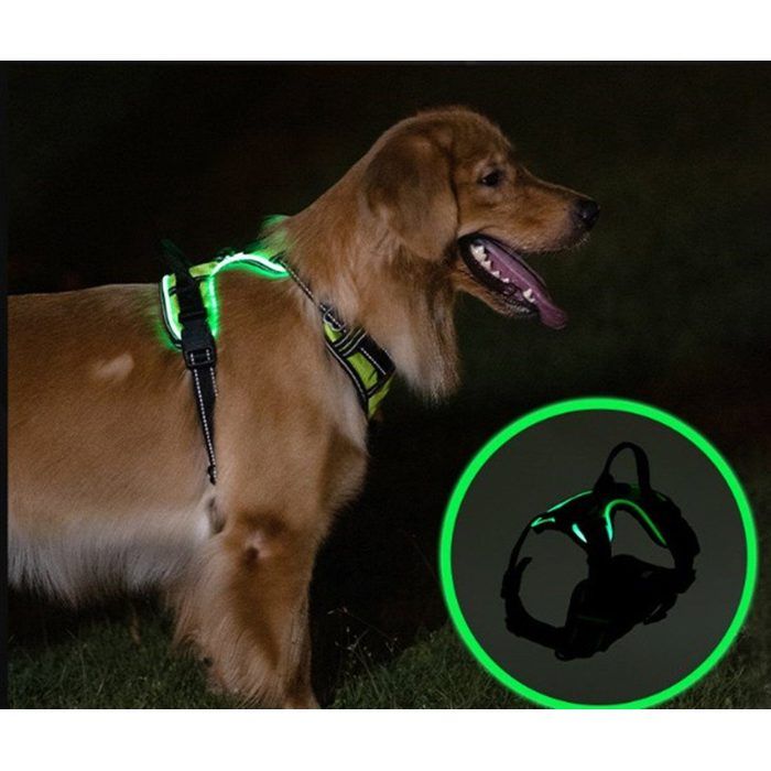 Meilleurs prix pour Harnais poitrine chien lumineux - 1 pièce Taille S rechargeable LED réglable réfléchissant rembourré doux ceinture Étiquette