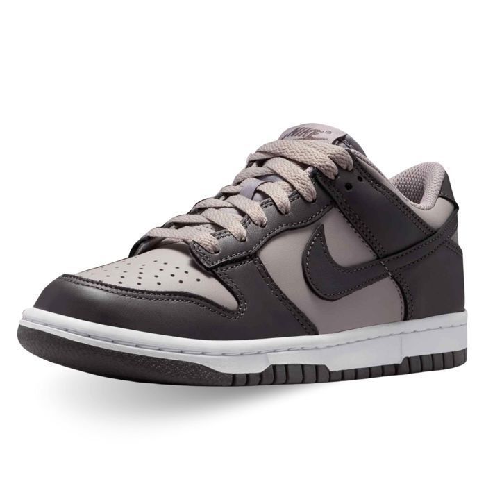 Nike Nike Chaussures Dunk Low (Gs) - FB9109-203 Violet