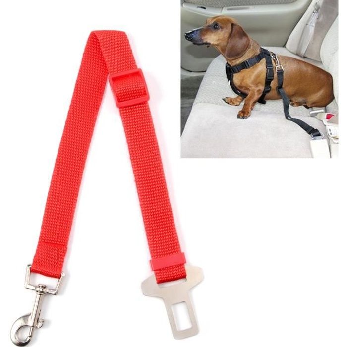 Ceinture De Sécurité Voiture Pour Chien - Longueur Réglable 56-70 Cm, Avec Amortisseur élastique, Pour Chiens Et Chats