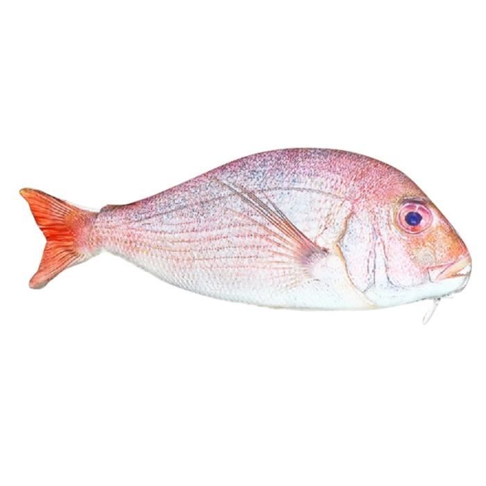 1 Pièce Étui à Crayons En Forme De Patte De Chat Tendance Pour L