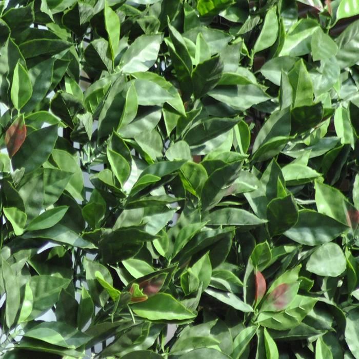Tenax Divy Laurus 1,50x3 m Vert, Haie Synthétique Composée de Feuilles de Laurier, Brise-Vue pour Balcons, Terrasses, Jardins et Clôtures