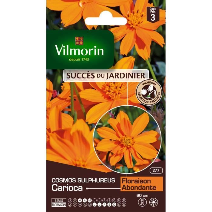 VILMORIN Cosmos Carioca - Cdiscount Jardin