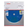 BOSCH Lame de scie circulaire expert for Stainless Steel 305 mm-1