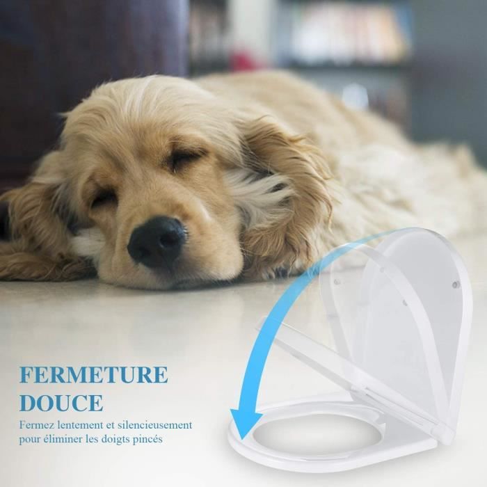 Abattant wc lunette de toilette en aminolac avec blocage rapide et frein de chute cuvette de toilette silencieux pour une instal Cdiscount Bricolage