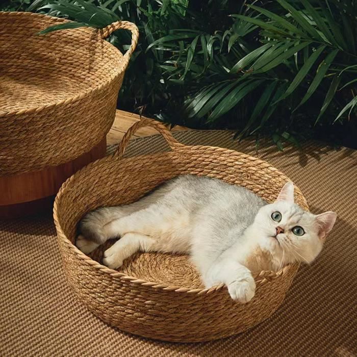 Maison pour chat design - niche chat panier chat - coussin, grattoir  amovibles sisal naturel inclus - MDF bois beige clair