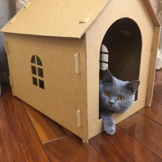 Maison De Chat En Carton Chat Gratter Meubles Maison De Repos Chaton Chat Jouet De Meulage De Lit Pour Chat Pour Dor Cdiscount Animalerie Maison De Chat En Carton Chat Gratter Meubles Maison De Repos Chaton Chat Jouet De Meulage De Lit Pour Chat Pour Dor Cdiscount Animalerie