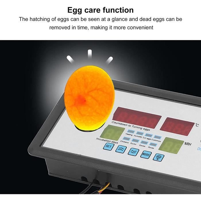 Uadme D incubateur Intelligent Contrôleur D œufs Automatique D