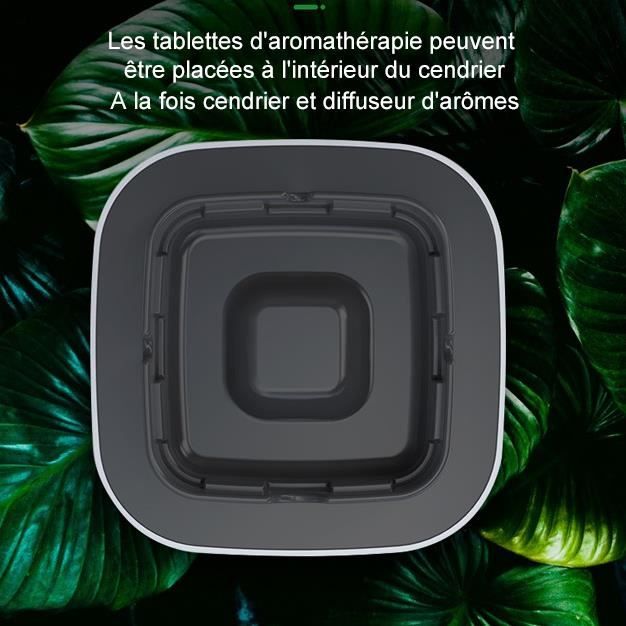 Cendrier lectronique - Suppression d'Odeur de Fume et Anti-Vol Accueil -  Purificateur d'Air Aromathrapie - Gris - Cdiscount Bricolage