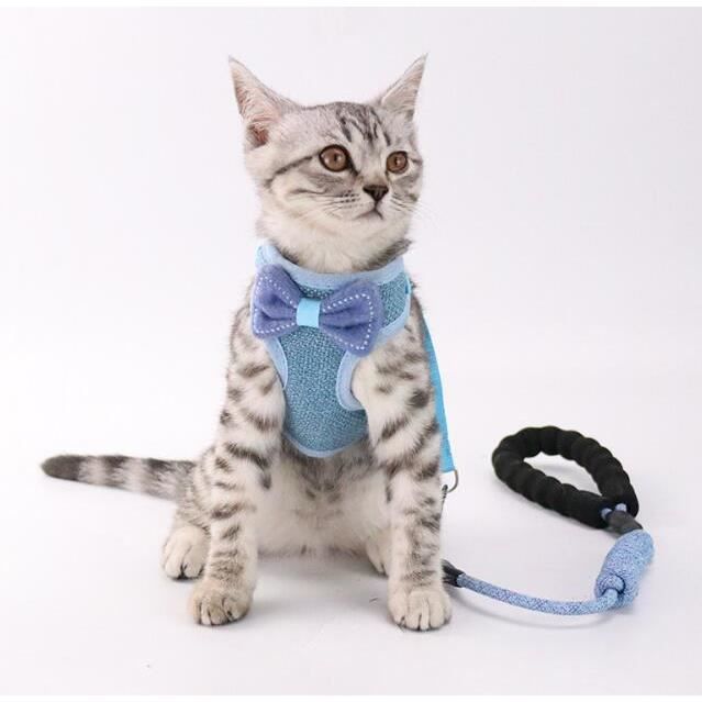 Harnais veste pour chat 2025