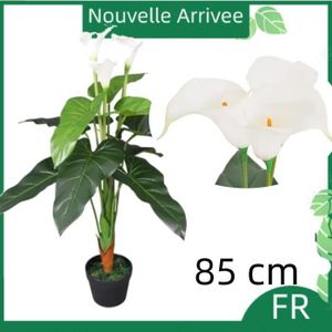FLEUR ARTIFICIELLE Plante artificielle avec pot Lis Calla 85 cm Blanc Fabriqué en bois massif, très durable CHAUD JID