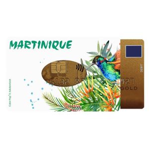 Étui métal multicartes (6) anti-piratage - Color Pop (Auxence) -  Maroquinerie Française Livraison gratuite