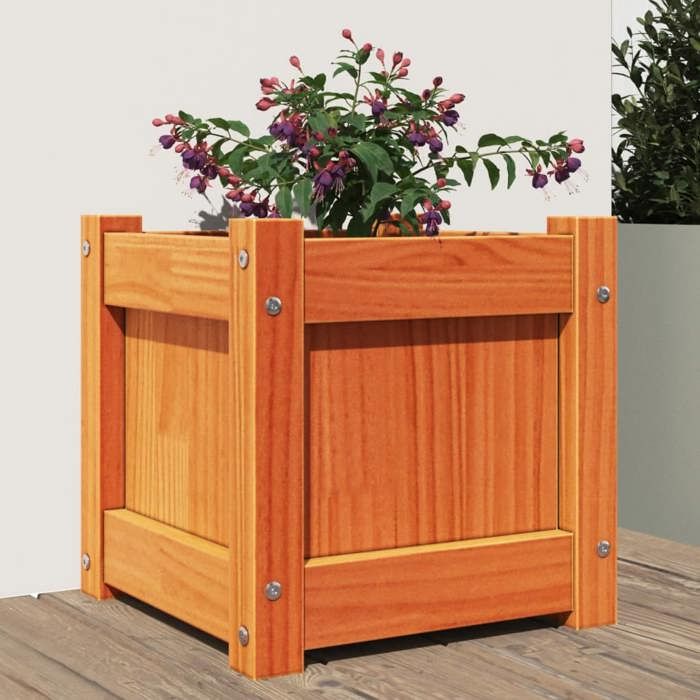 vidaXL Jardinière cire marron 31x31x31 cm bois de pin massif 837398
