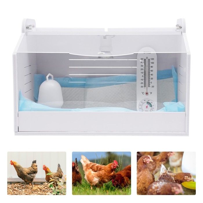 Incubateur Pour œufs De Reptiles - 12 Cases Transparentes - Pour Serpents, Geckos, Tortues - Environ 16.5x11x5 Cm
