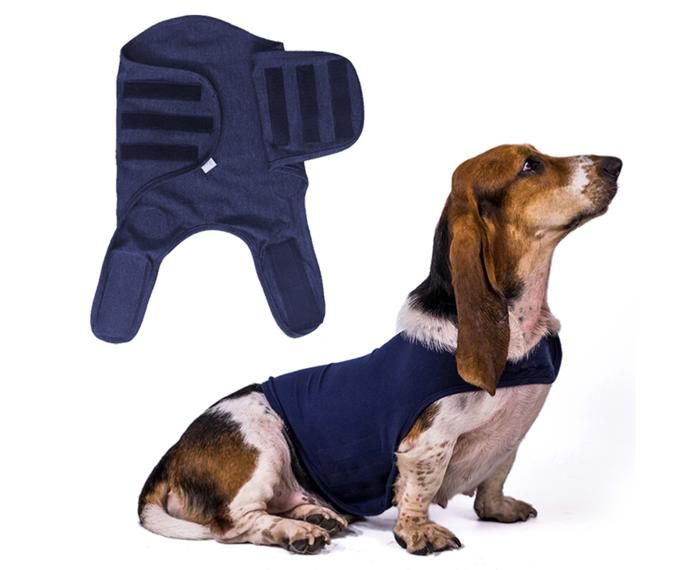 Meilleurs prix pour Manteau confortable pour soulager lanxiété du chien gilet apaisant pour lanxiété du chien en cas dorage de voyage de feux