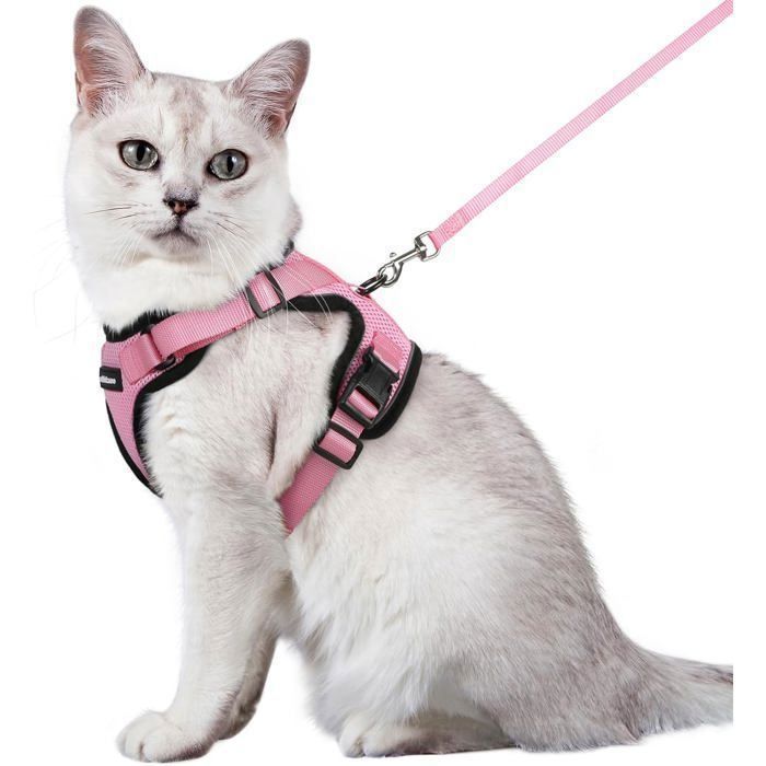 Meilleurs prix pour Harnais Chat Anti-évasion avec Laisse Rose M Harnais Chaton Petit Chien Réglable Collier Harnais et Laisses pour Chat Label