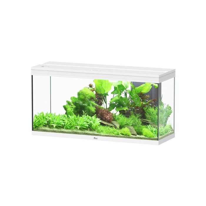 Comparer les prix de Aquarium rectangulaire - AQUATLANTIS - SPLENDID 120 - 240L - LED 2.0 et Biobox