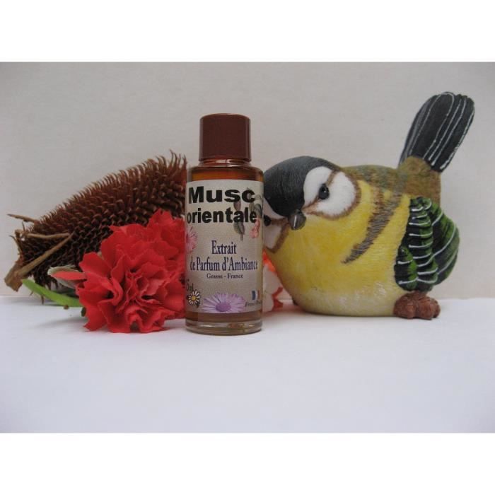 Extrait de parfum d'ambiance Musc Oriental - Cdiscount Maison