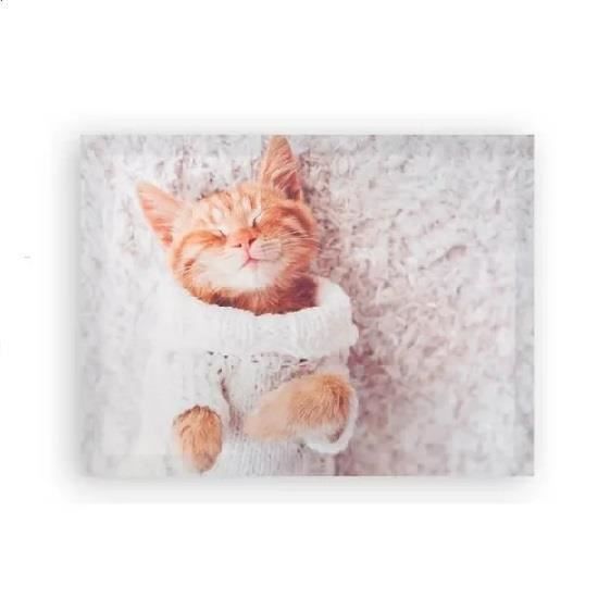 Chaton crewel Erica Wilson Art Minerva Group 1976 art brodé chaton