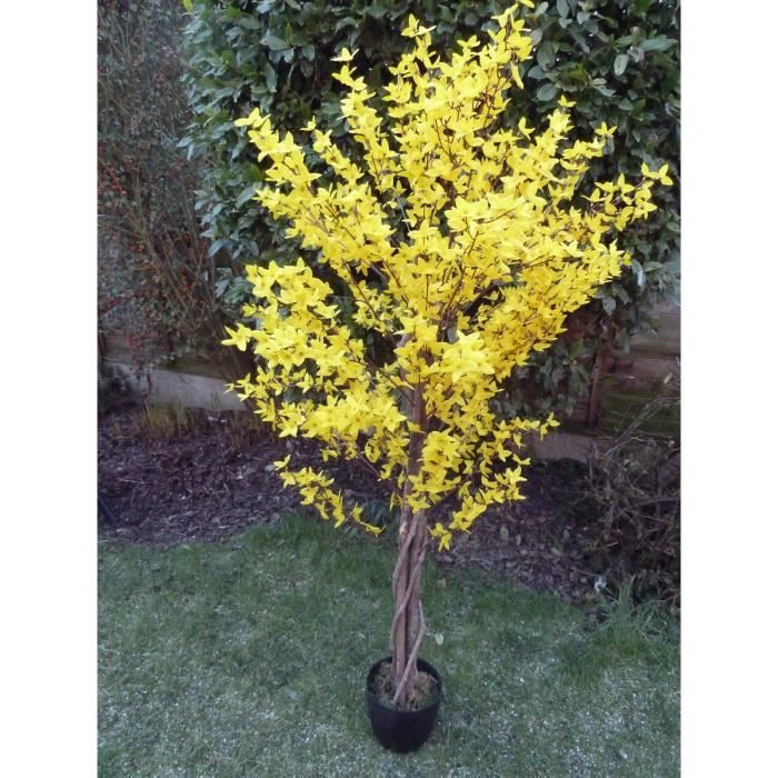 Shamley Green Gardening Club November Flower Of The Month Mahonia