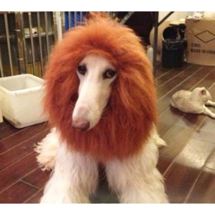 Pet Chien Lion Perruques Homme Front Fantaisie Cdiscount