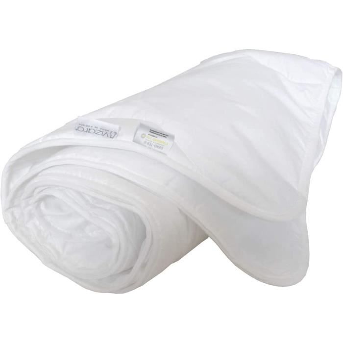 V.I.P (Very Important Paysans) - Déchaumage Après LISIER En Préparation