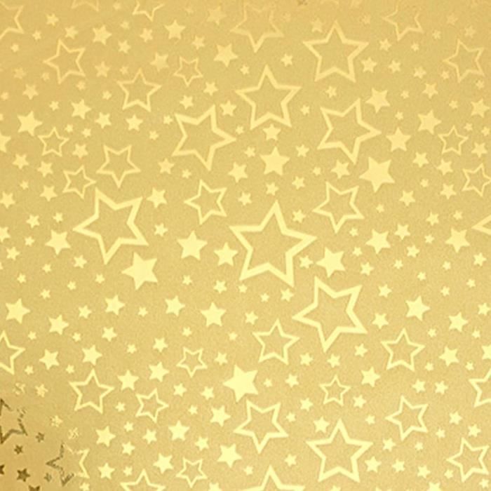 Rouleau De Papier Cadeau De Noël 70 Cm X 2 M Motif Étoiles Filantes  Blanc-Doré Métallisé Brillant[x2455]