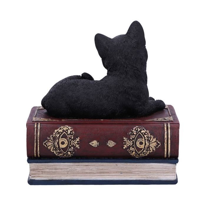 Nemesis Now – Boîte à Bijoux Chat Sorcière Binx Livre De Sorts Vert – Figurine Résine 11 Cm