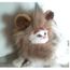 Accessoire De Cheveux Pour Animaux De Compagnie Super Mignon