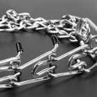 Collier à griffes pour chien ZERONE - en acier inoxydable - réglable - double protection