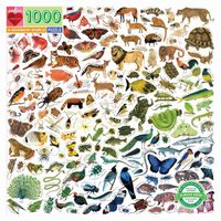 Puzzle carton 1000 pièces A RAINBOW WORLD - EEBOO - Pour Enfant dès 12 ans - Multicolore