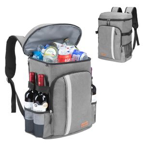 Sac isotherme 20L sac à lunch grande capacité sac à lunch portable sac  isotherme de pique-nique familial，Fonepro