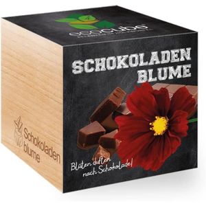 GRAINE - SEMENCE Ecocube Fleurs De Chocolat Au Chocolat Idée De Cadeau Durable (100% Ecofriendly), Grow Your Own-Culture, Plantes En Bois Fabr[z3993]