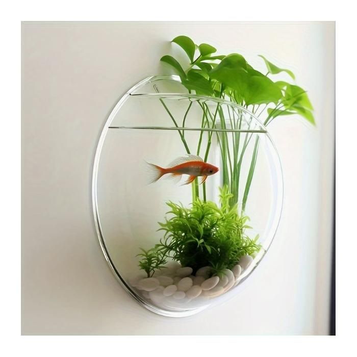 Meilleurs prix pour ECELEN Aquarium Mural Transparent Demi-Sphère–Décoration Murale Moderne pour Plantes Aquatiques Poissons Rouges-23CM