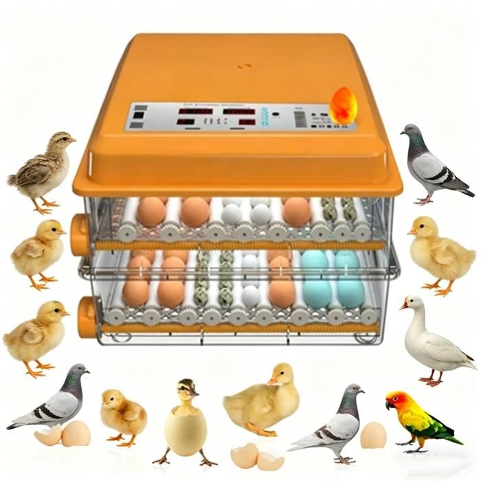 Incubateur dœufs 128 œufs rotation automatique des œufs contrôle de lhumidité éleveur de volaille pour poulets canards oiseaux