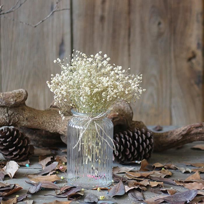 Souffle De Bebe De Fleur Sechee Naturelle Decor A La Maison Fleur Sechee Naturelle Pleine Etoiles Gy Y3798 Achat Vente Fleur Artificielle Cdiscount
