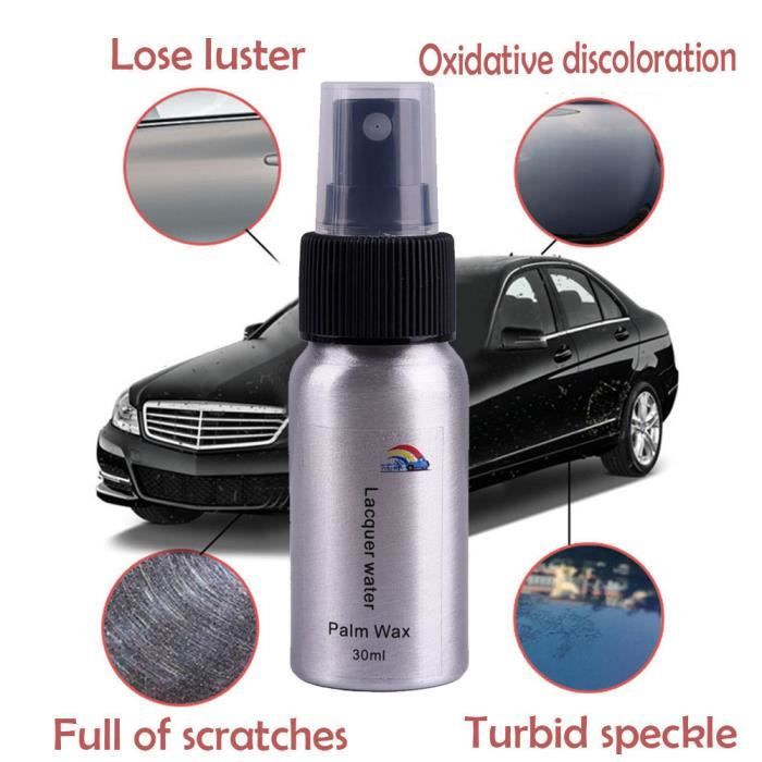 Revetement De Peinture A La Cire Pour Voiture Palm 30ml 1070