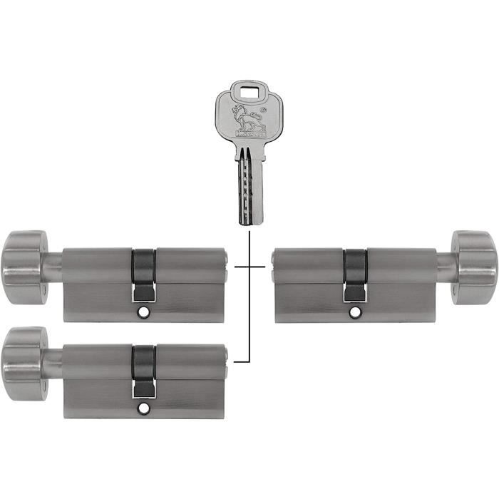 Cylindre STD double entrée, 35 x 65 mm anti-arrachement, nickelé, 3 clés - THIRARD