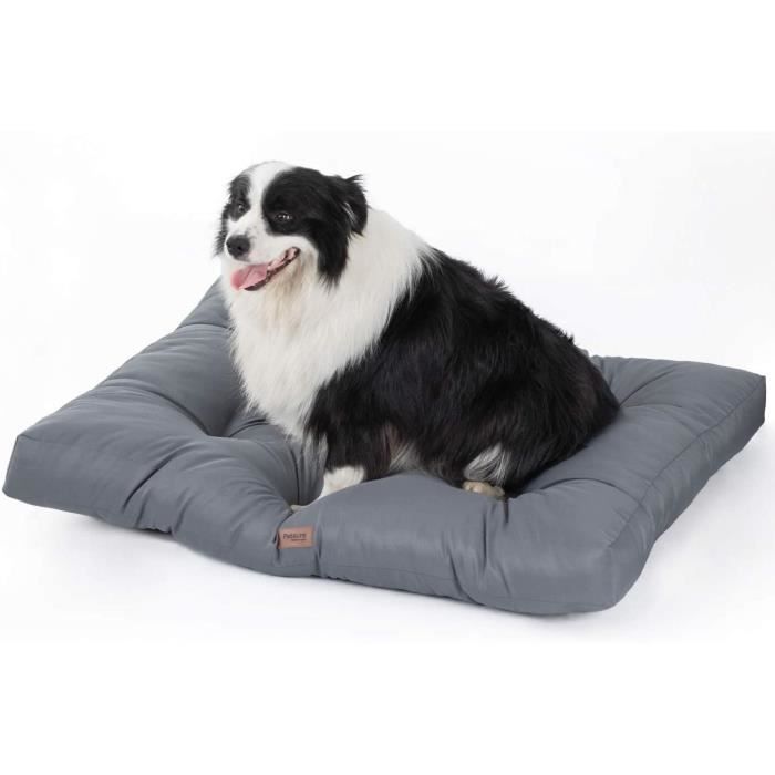 coussin chien xxl