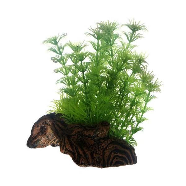 Comparer les prix de Hobby Flora Root S 3