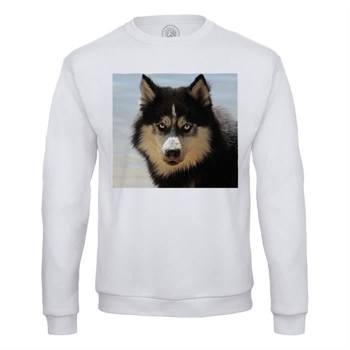 Sweat Shirt Homme Husky Chien Loup Noir Portrait Yeux Bleus Plage Blanc Cdiscount Pret A Porter