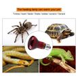 Ampoule de lampe chauffante de chauffage infrarouge durable pour alimentation pour animaux de compagnie de reptiles (75 W)-2