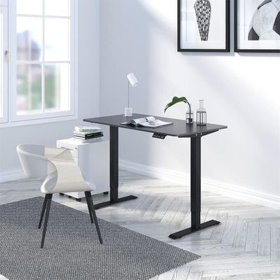 Pied De Bureau Assis-Debout Électrique WOLTU - Réglable 72-120 Cm, 4 Mémoires, Charge 70 Kg, Anti-Collision, Gris - Pour Bureau à Domicile Ou Entreprise - 13