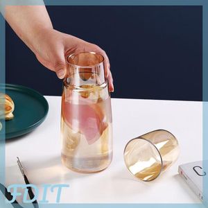 Remplacement de l'ensemble carafe pour CF4031 pour cafetière Solac